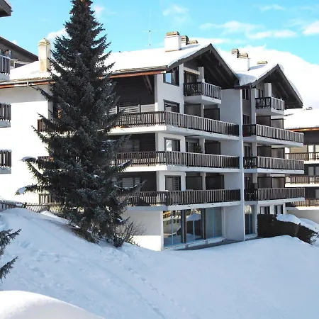 Arnica 10 * Nendaz