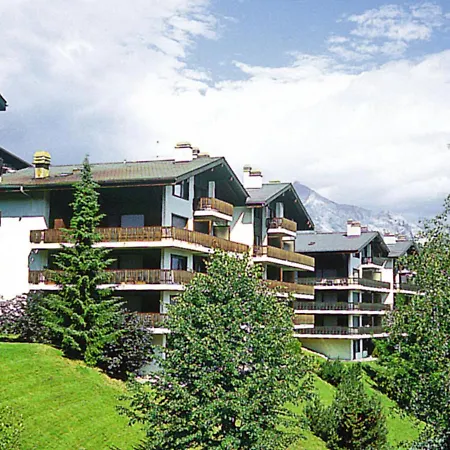 Arnica 10 * Nendaz